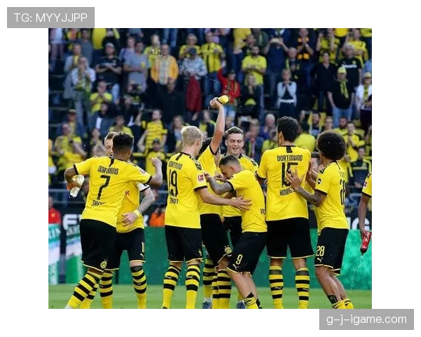 德甲新赛季阵容焕然一新：重磅引援激发年轻才俊闪耀赛场