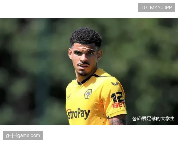 森林续约吉布斯-怀特，展现未来合作的竞争力增强